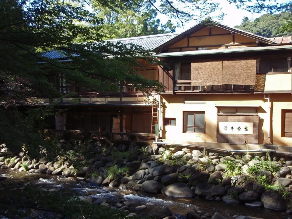 Shizuoka Arai Onsen