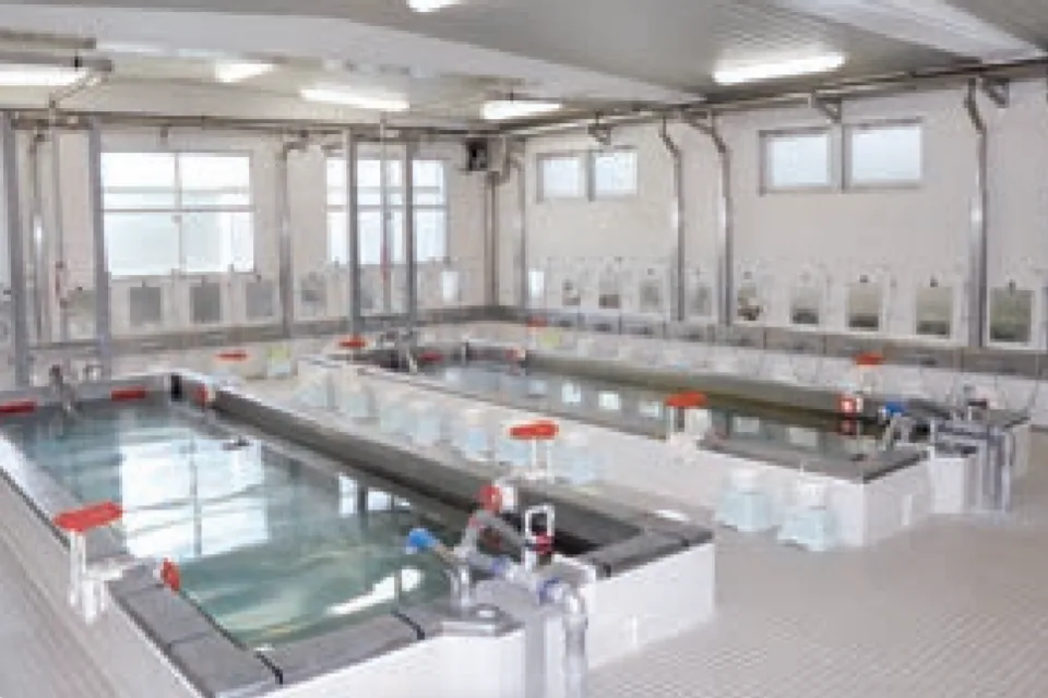 Naruto Onsen Hyogo Awaji