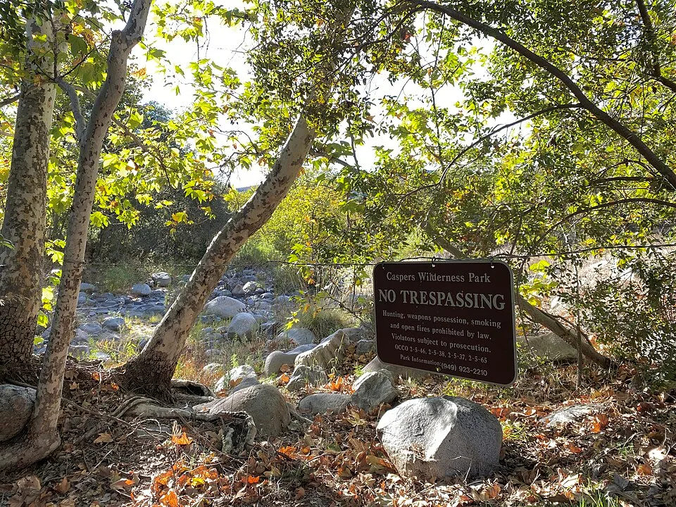 Buckeye Hot Springs California