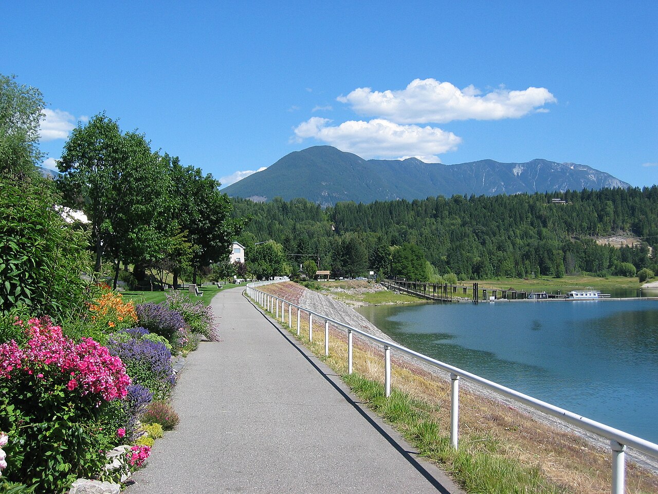 Nakusp Hot Springs BC Forest