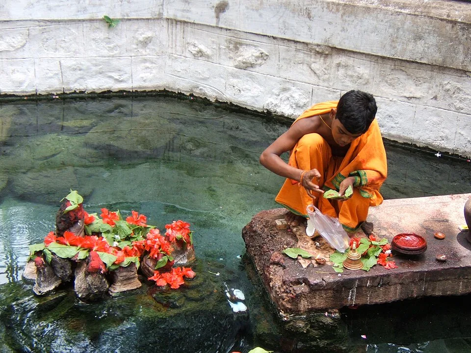 Taptapani