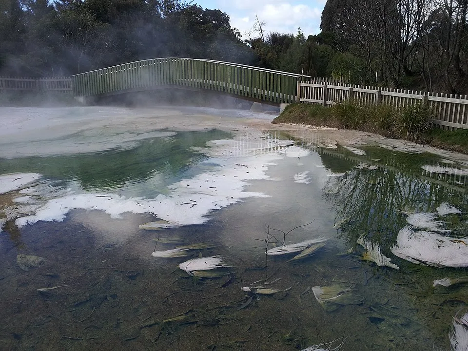 Waimangu Volcanic Valley Pools