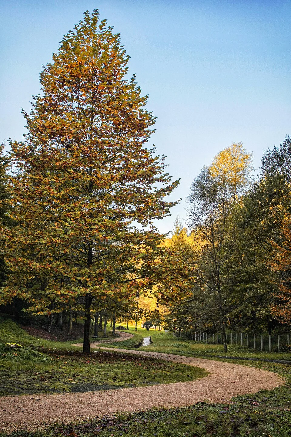 Banja Vrućica (Teslić)