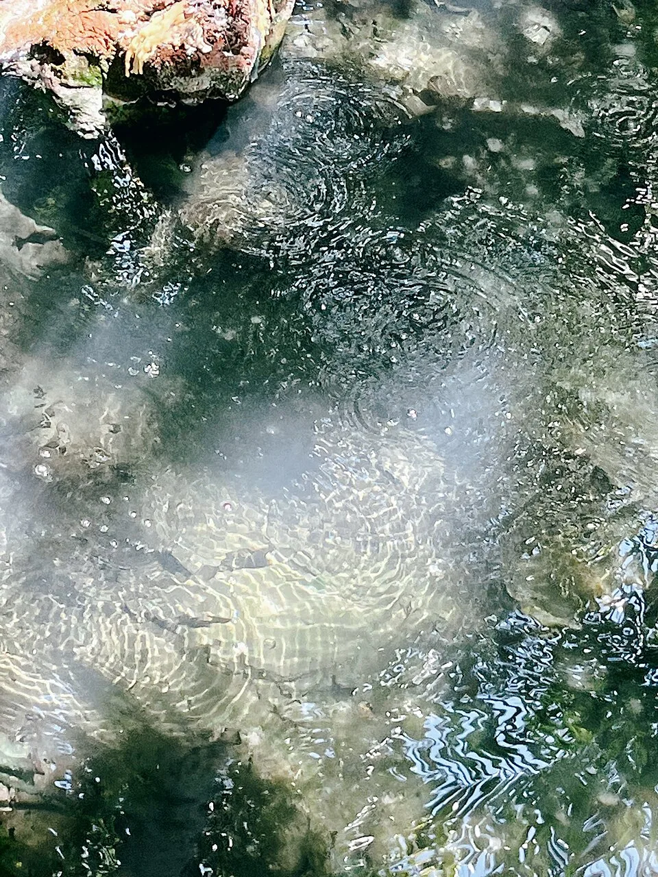 Sacred hot spring