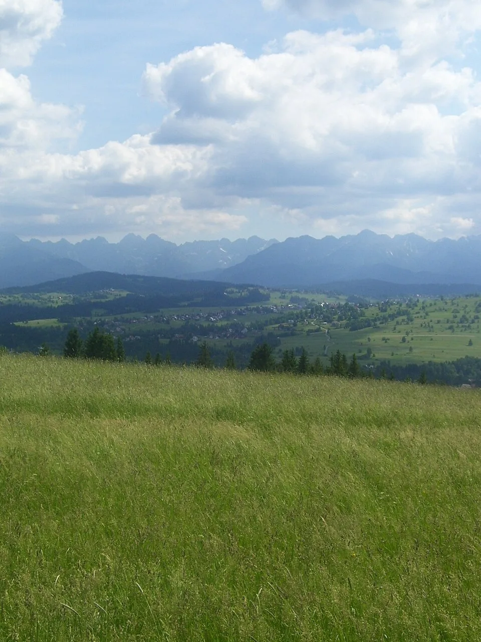 Zakopane Terme Bukowina