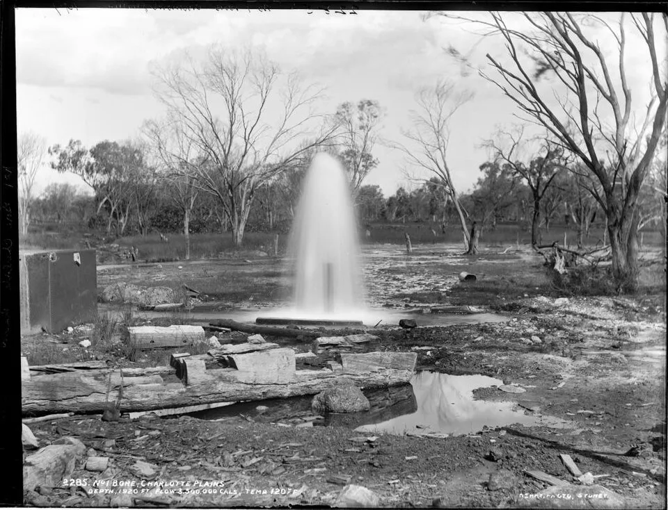Charlotte Plains
