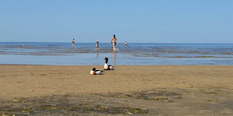 Jūrmala Spa Baltic Latvia