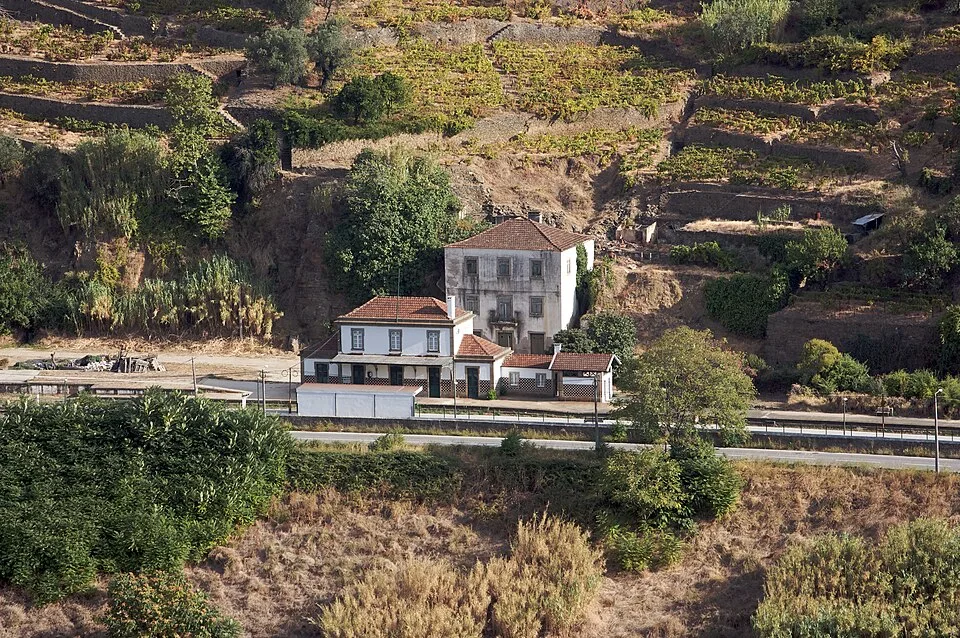 Termas de Moledo