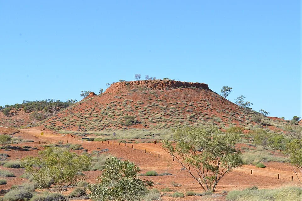 Lark Quarry Conservation Park