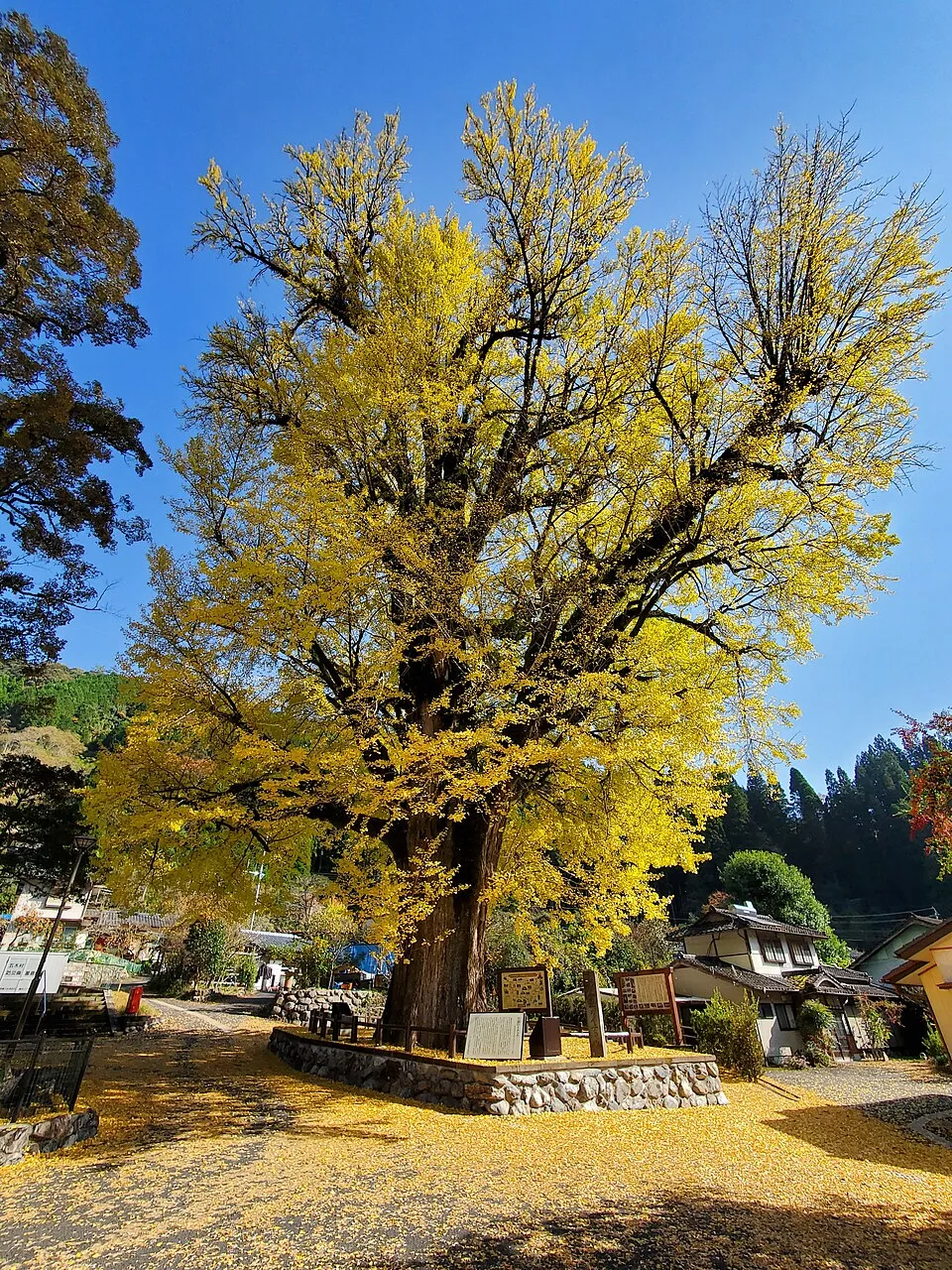 Itsuki Onsen