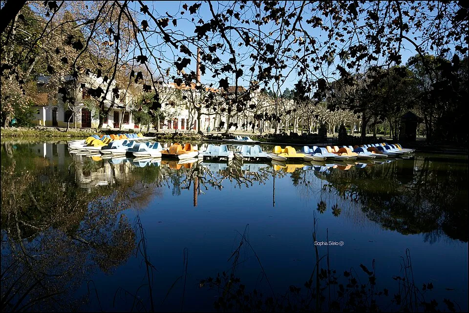 Termas da Curia