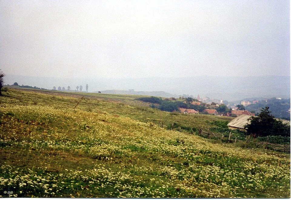 Ocna Sibiului