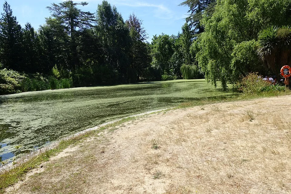 Termas de Pedras Salgadas