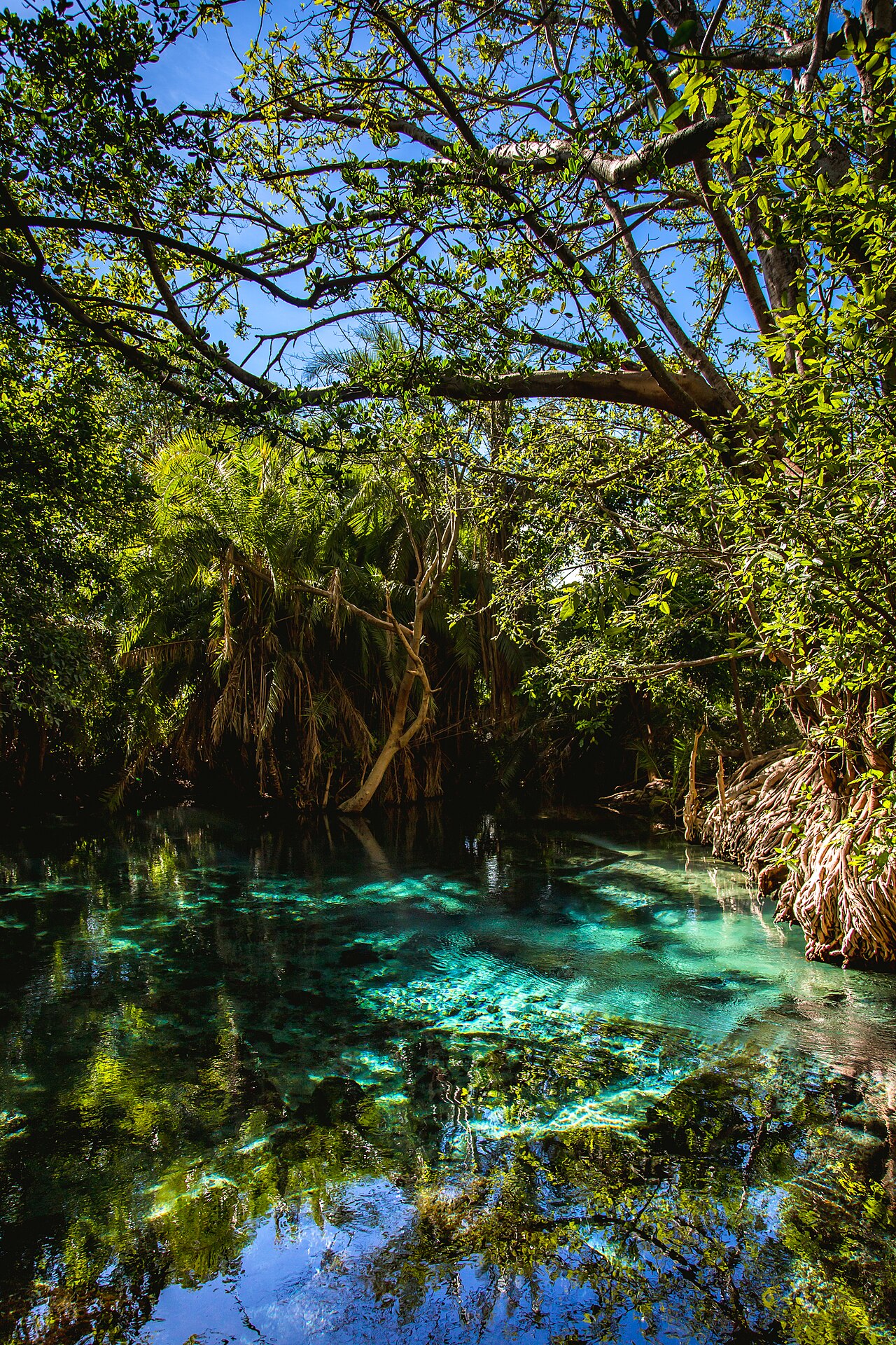Chemka Hot Springs