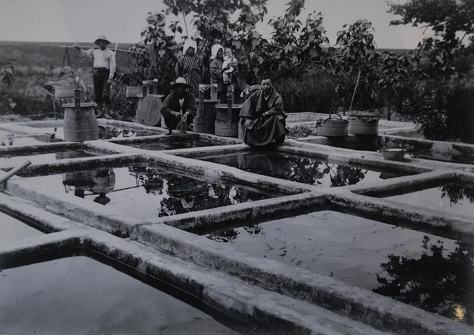Goldfish Pond