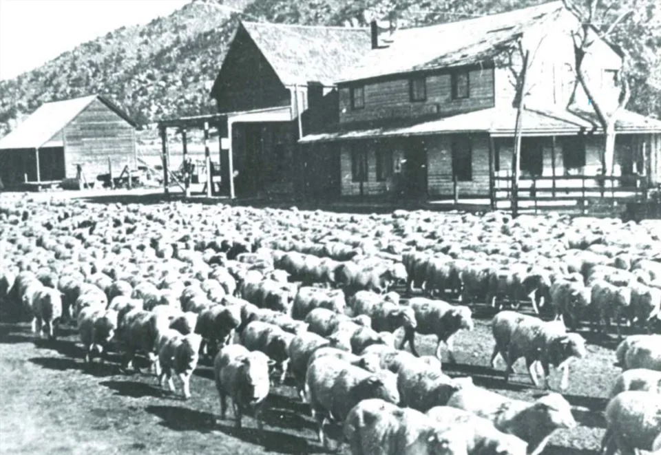 Scovern Hot Springs