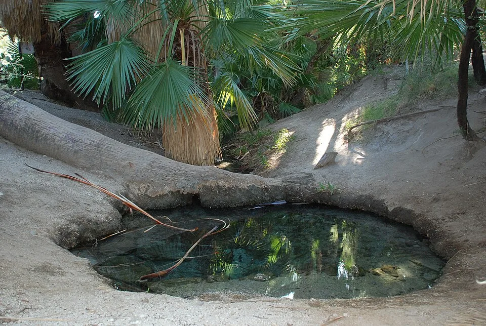 Termales Agua Caliente, Suesca