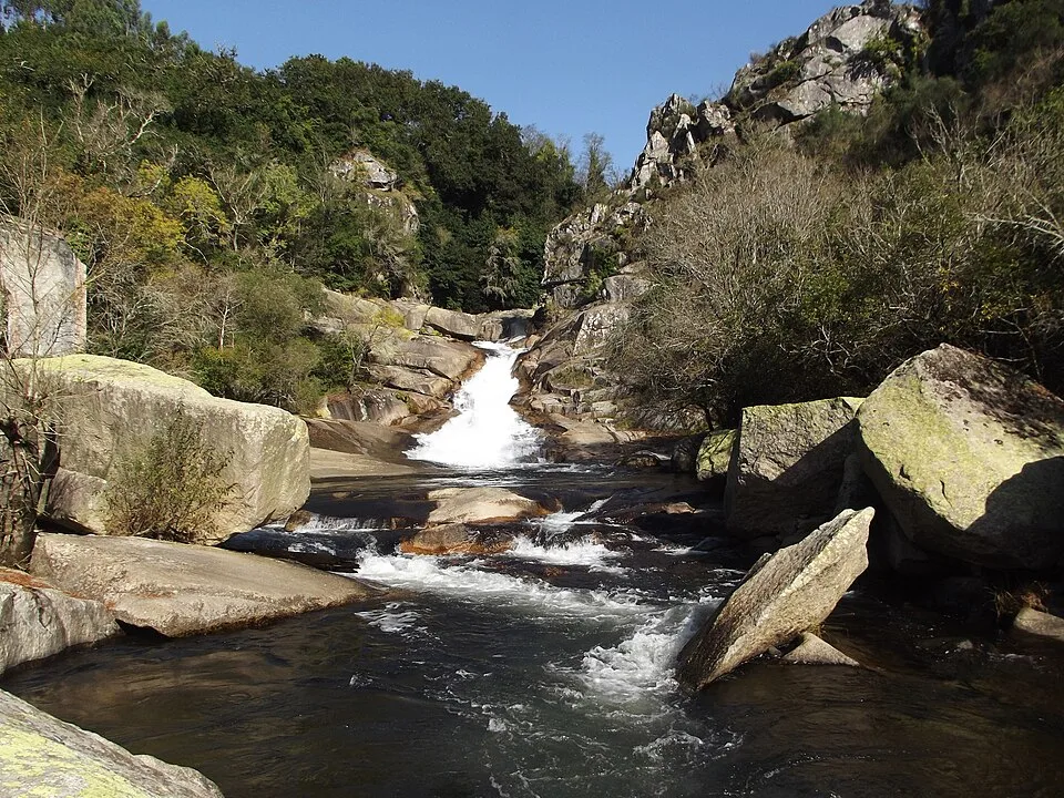 Caldas de Reis