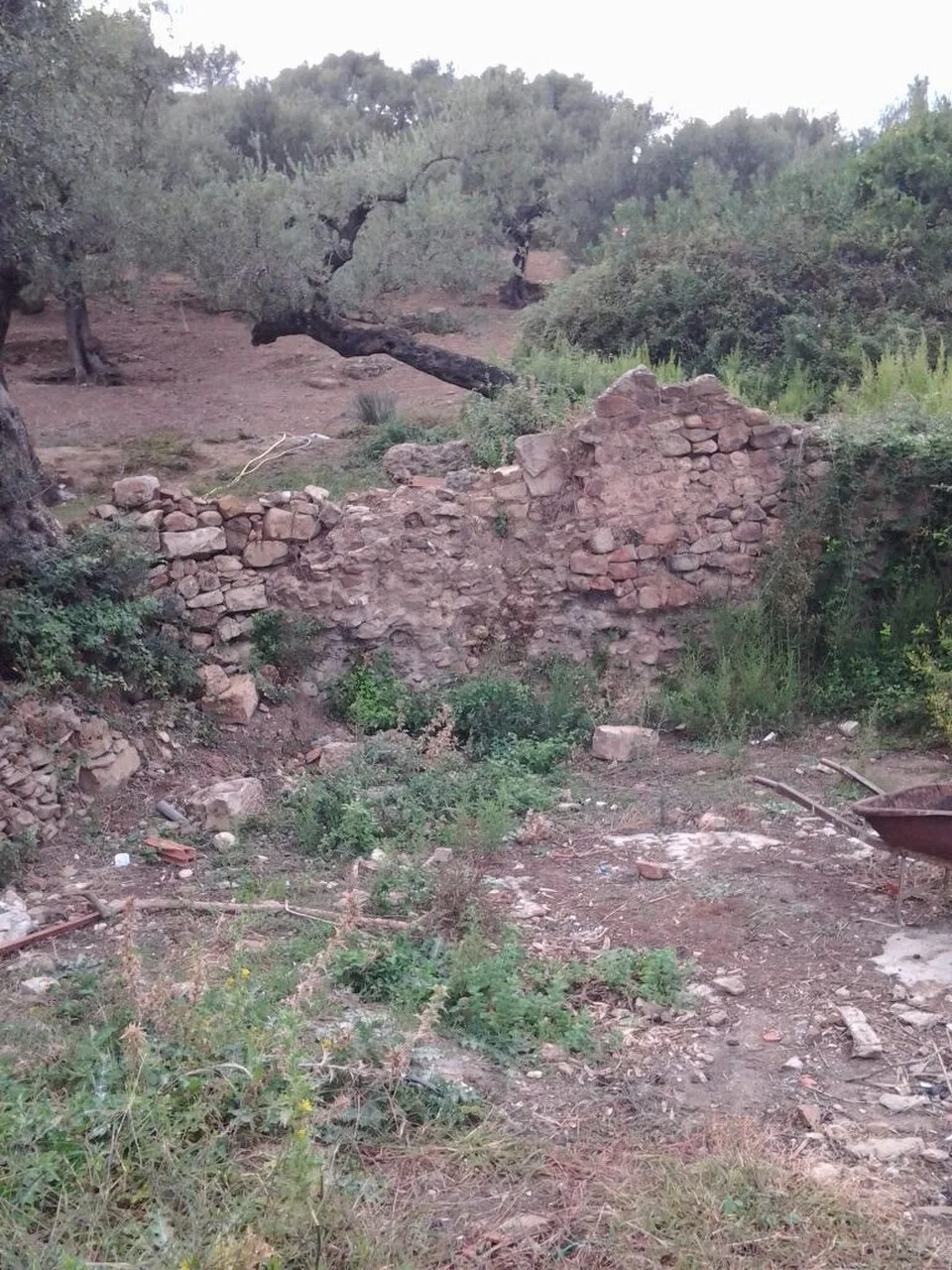 Hammam Ouled Ali