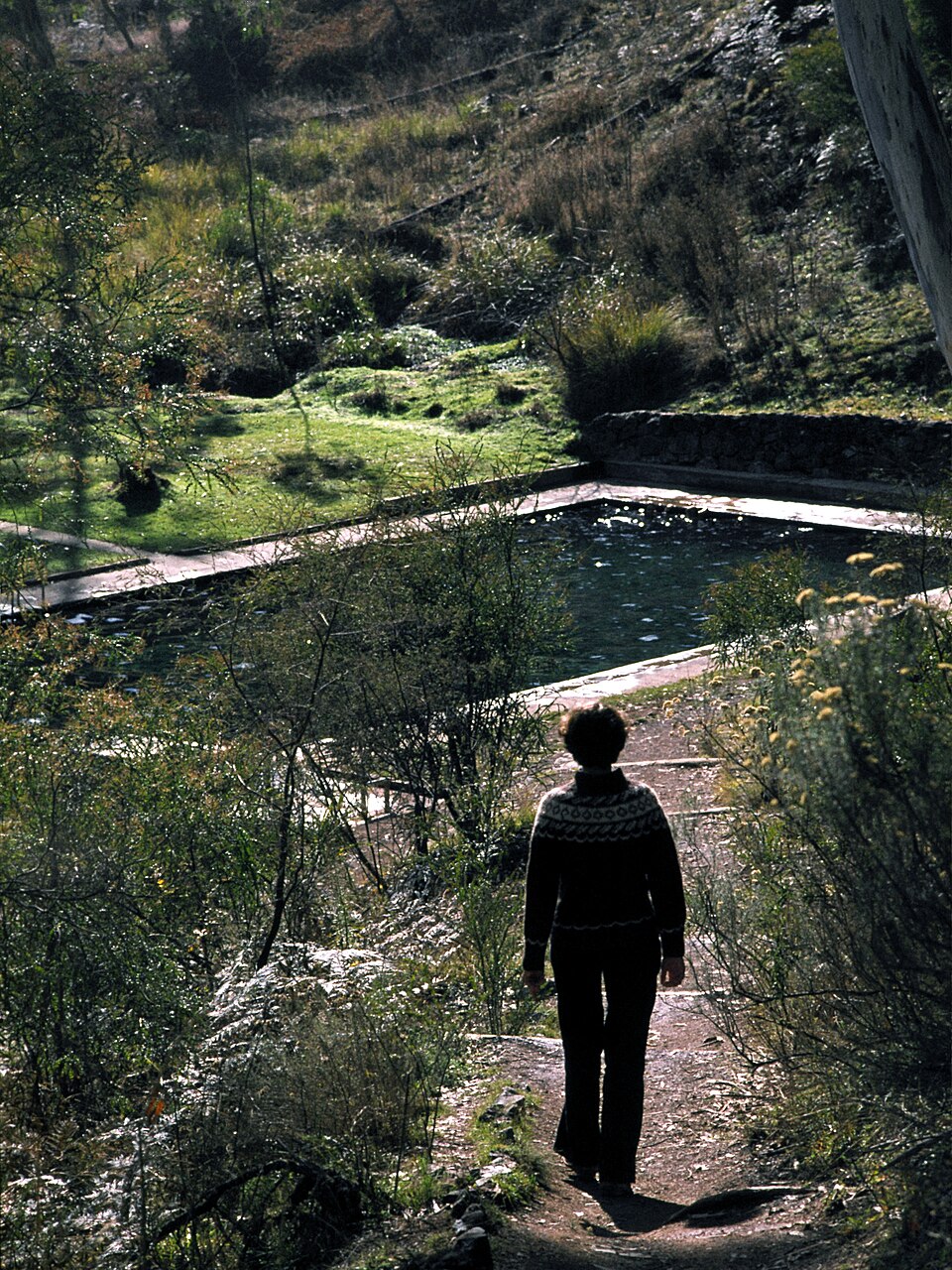 Yarrangobilly Thermal Pool