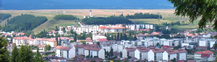 Toplita Spa