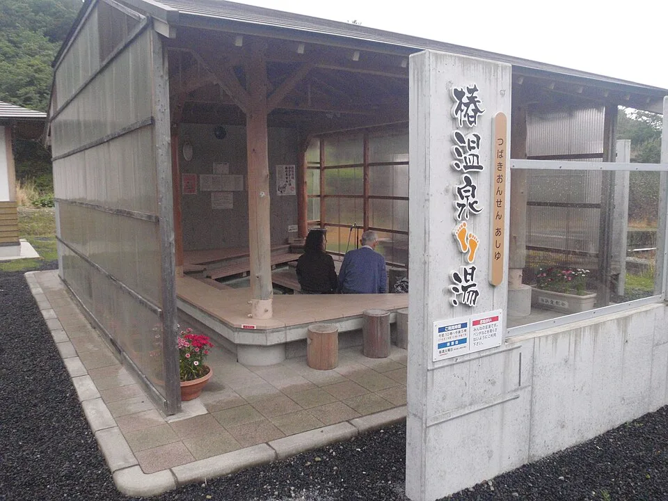 Tsubaki Onsen