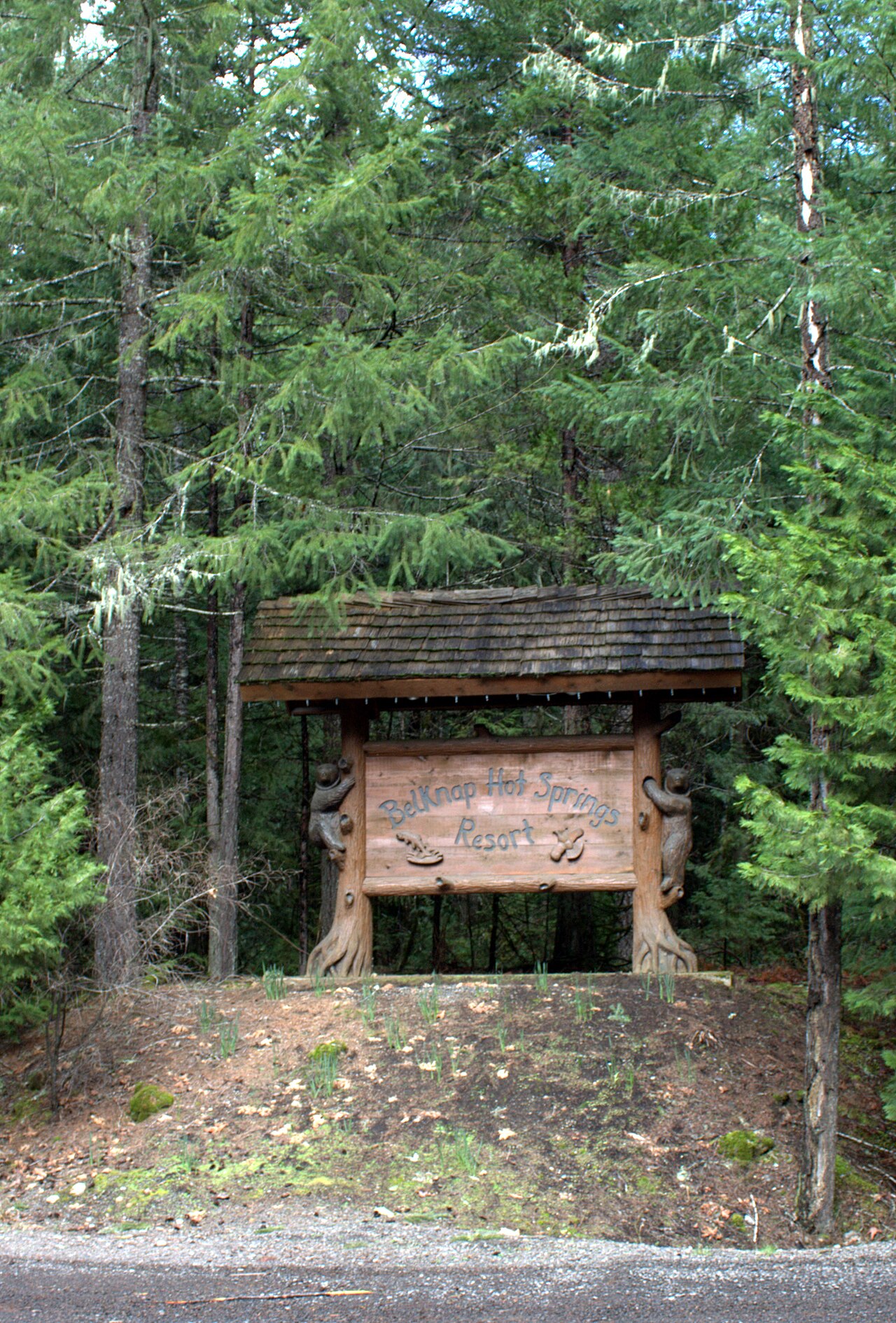 Belknap Hot Springs Oregon