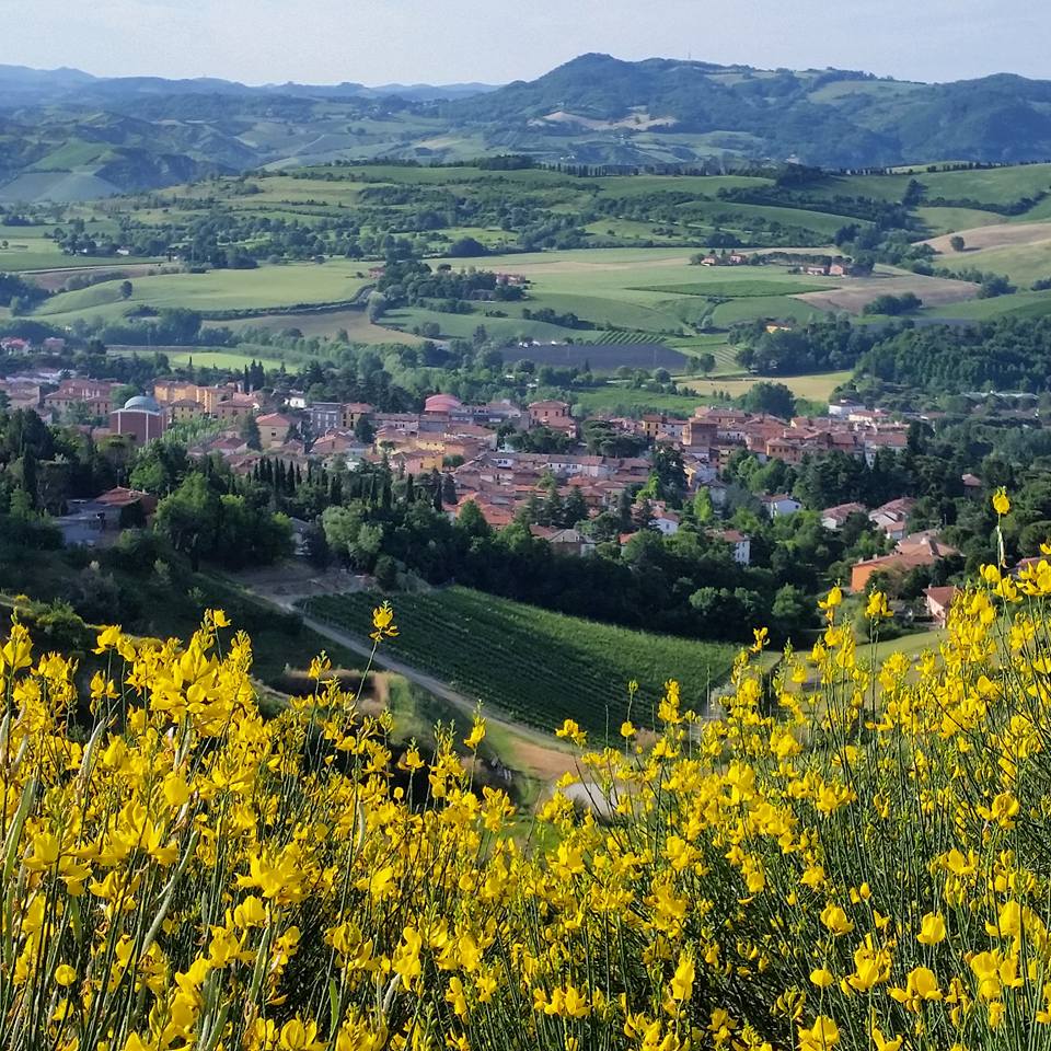 Terme di Riolo