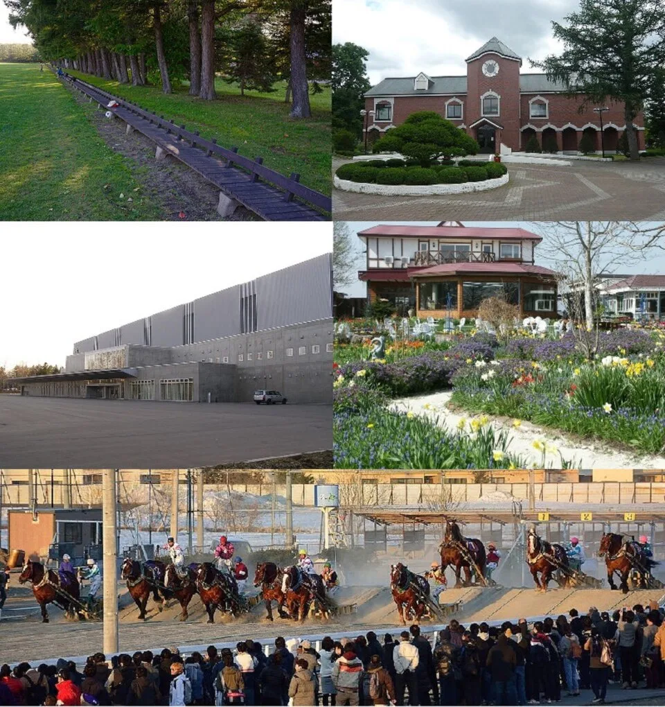 Obihiro Morinokashiwaya Tokachi