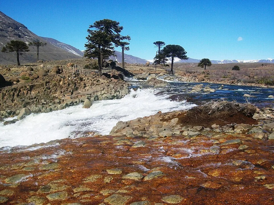 Copahue