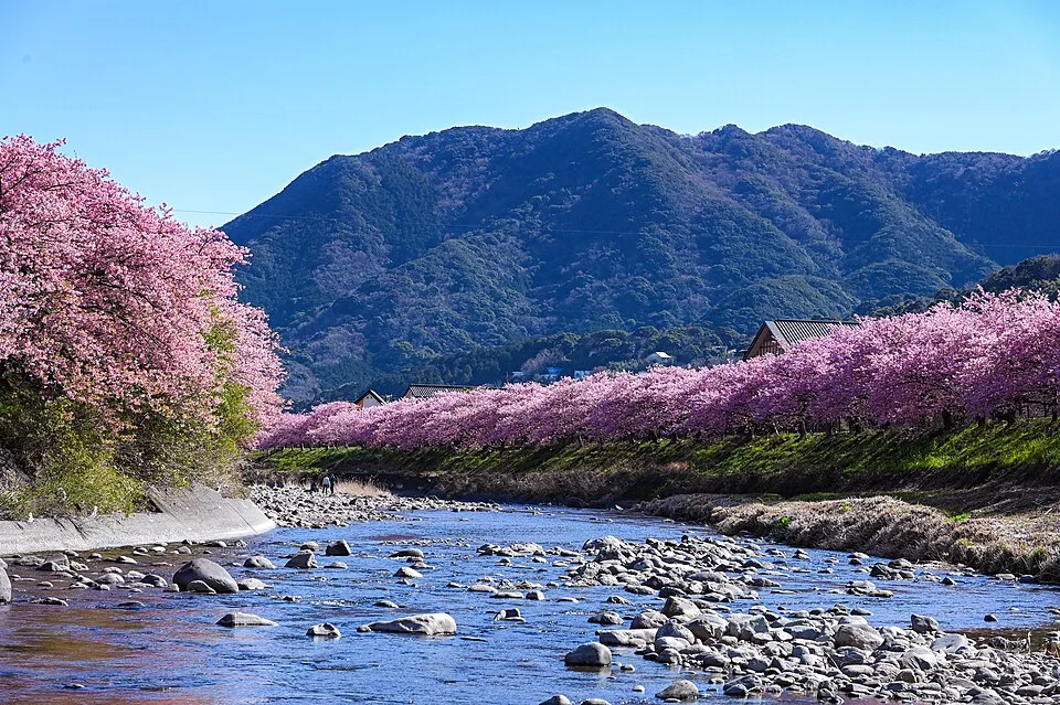 Shizuoka Shimizu Onsen