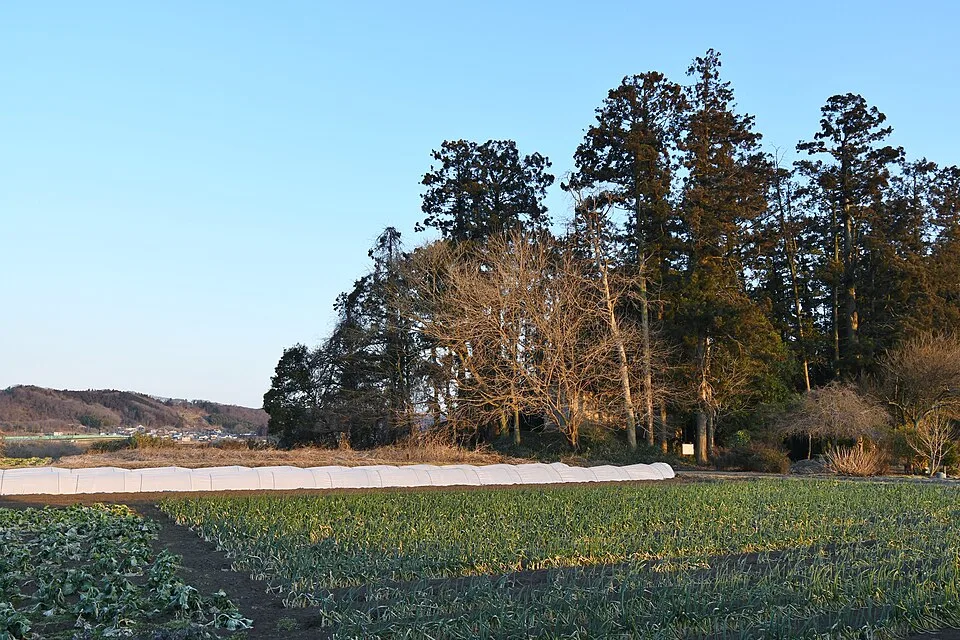 Yoshida Onsen