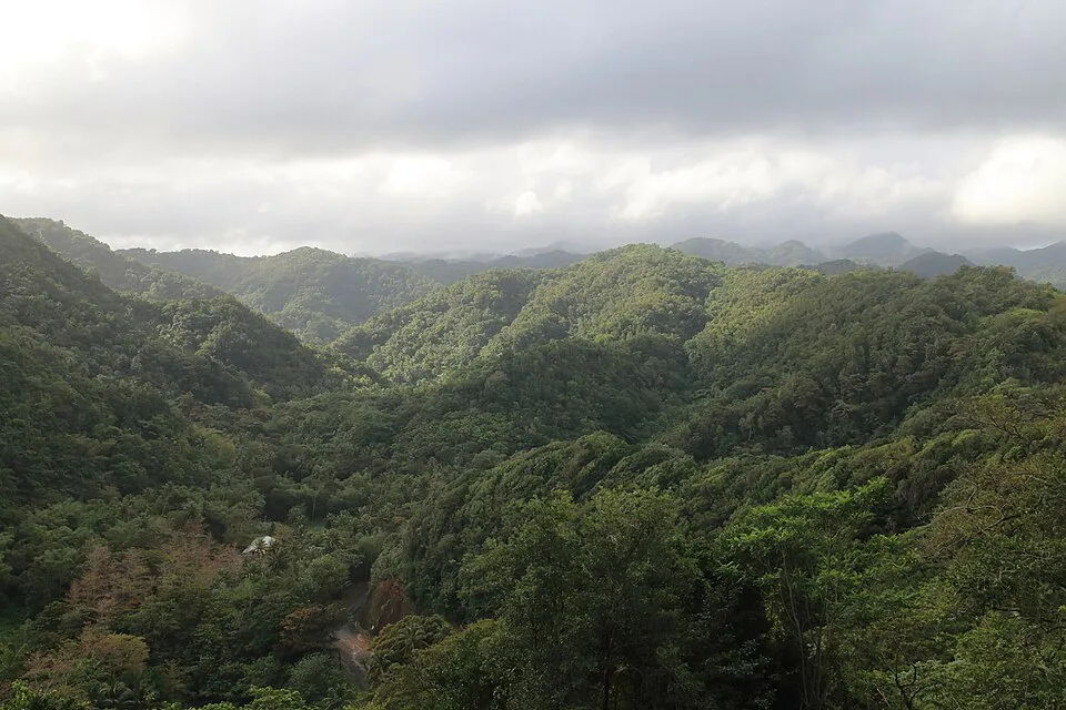 Ti Jean Hot Springs