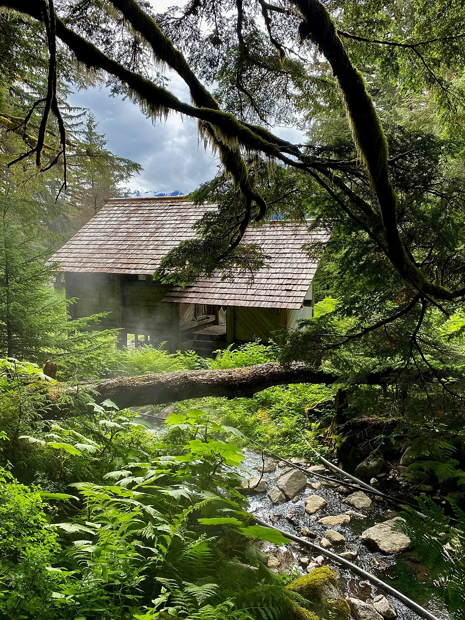 Chief Shakes Hot Springs