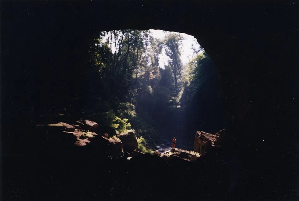 Alvignac-Miers