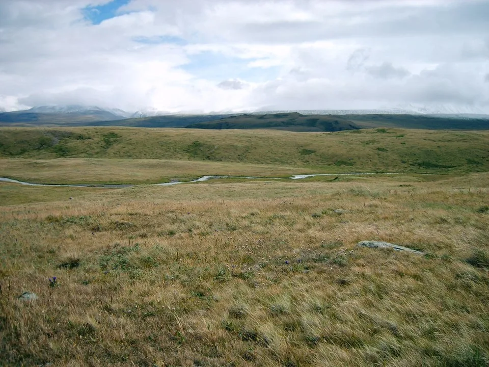 Steppe Springs 329