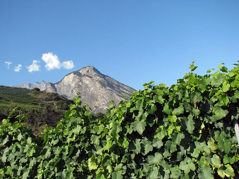 Alpentherme Saillon