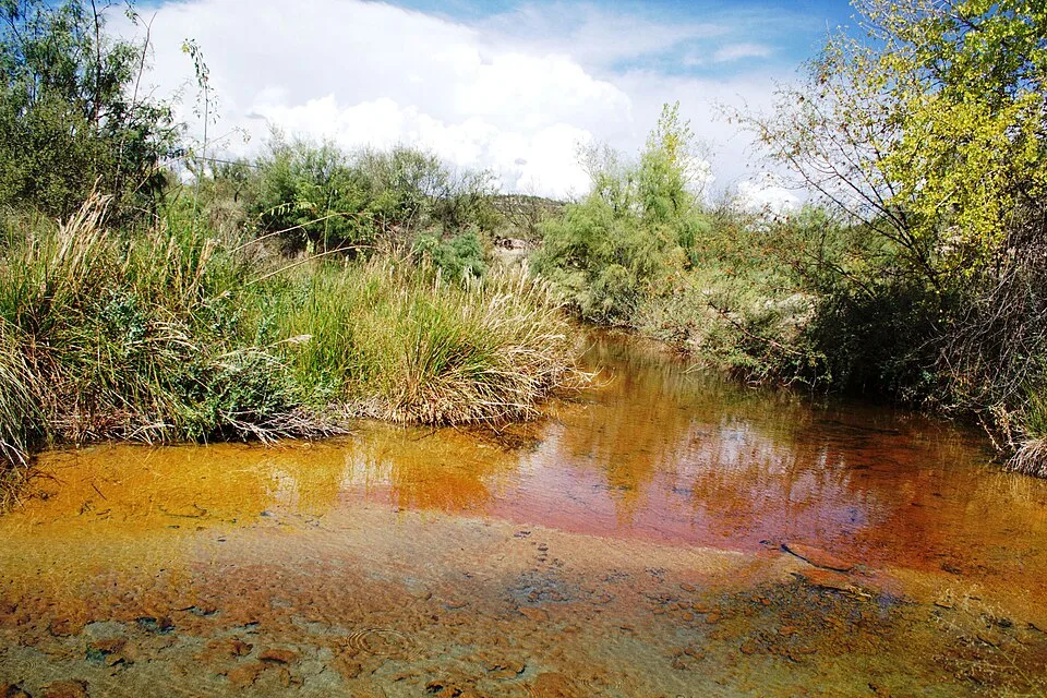 Ramsar Thermal Springs