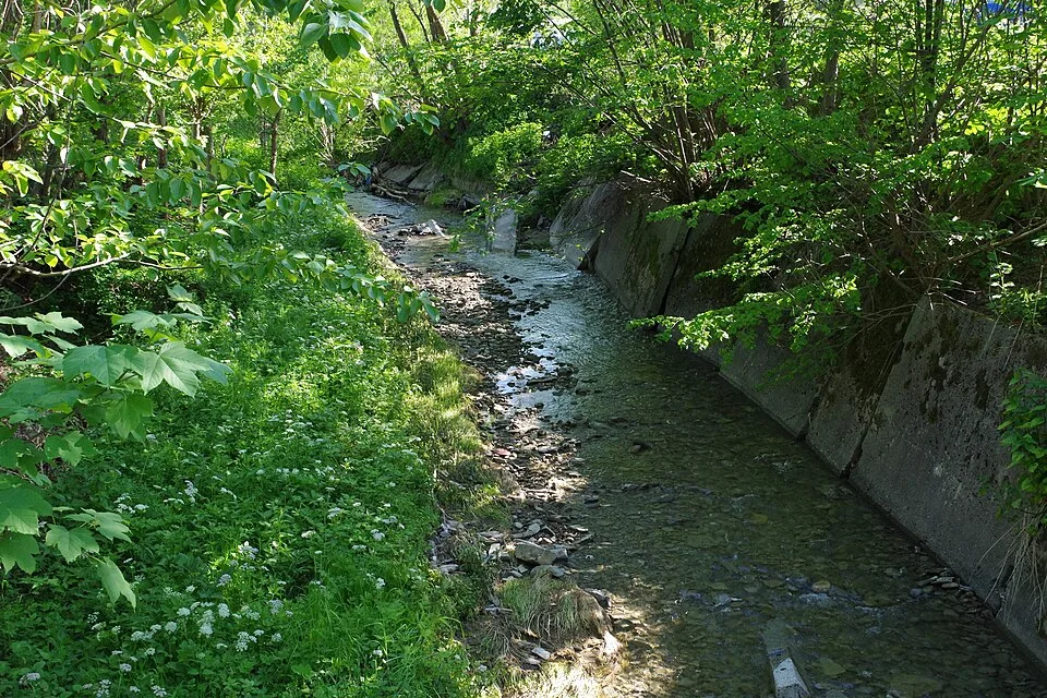 Terme Rabka-Zdrój