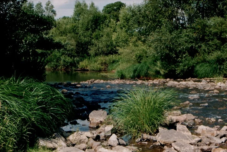 Kisvárda Thermal Szabolcs