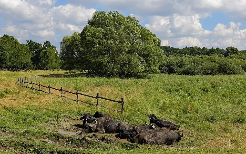 Steirertherme Straden