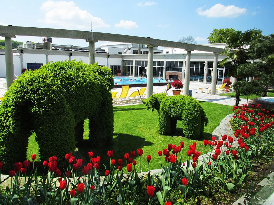 Vita Classica Therme Bad Krozingen