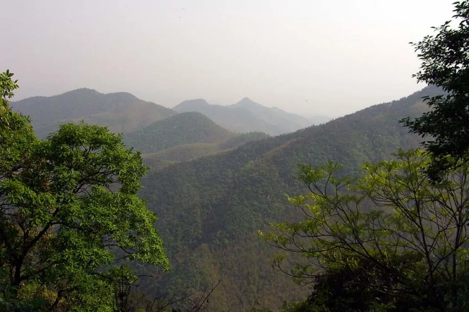 Deqing Mogan Mountain Spring