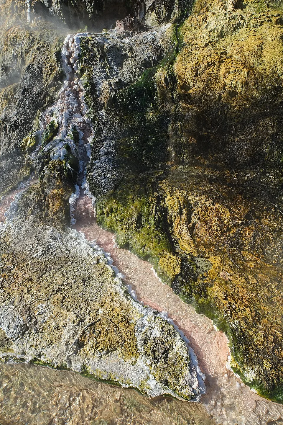 Taupō Hot Springs