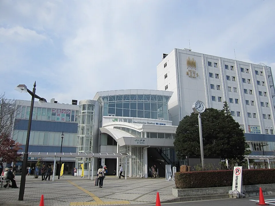 Hachinohe Tanesashi Onsen