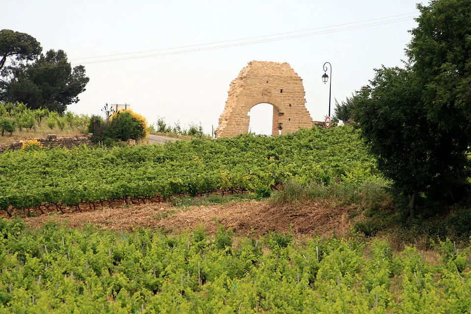 Sources de Châteauneuf-du-Pape