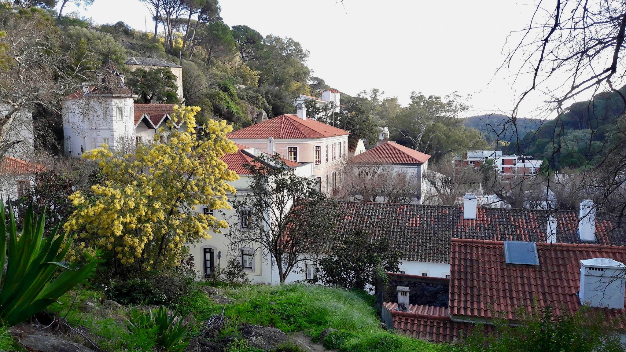 Fonte Termal Progresso