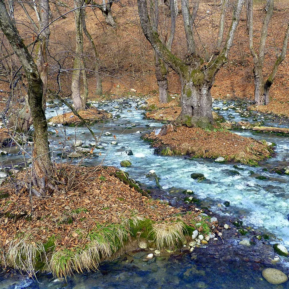 Serovodorodnyy istochnik