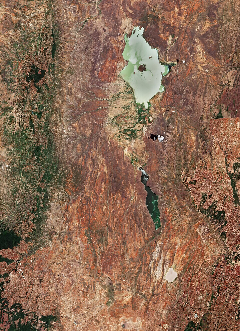Lake Bogoria Hot Springs