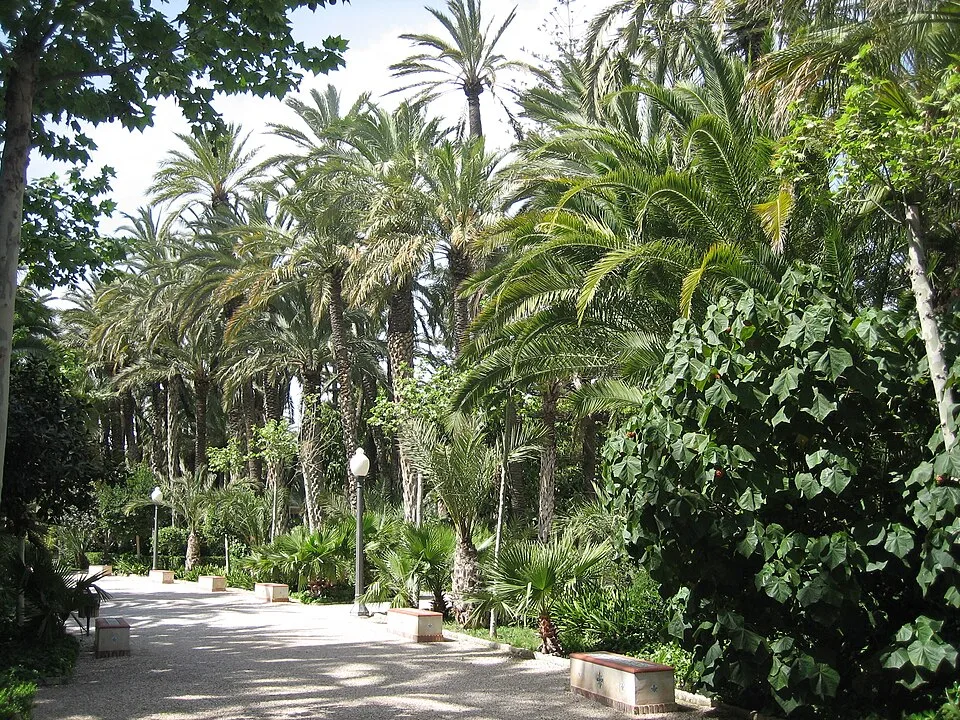Alicante Balneario